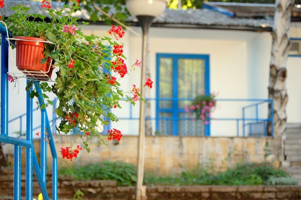 Комплекс Белите Къщи Shtarkelovo Gnezdo Buitenkant foto