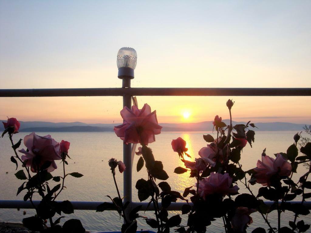 Комплекс Белите Къщи Shtarkelovo Gnezdo Buitenkant foto