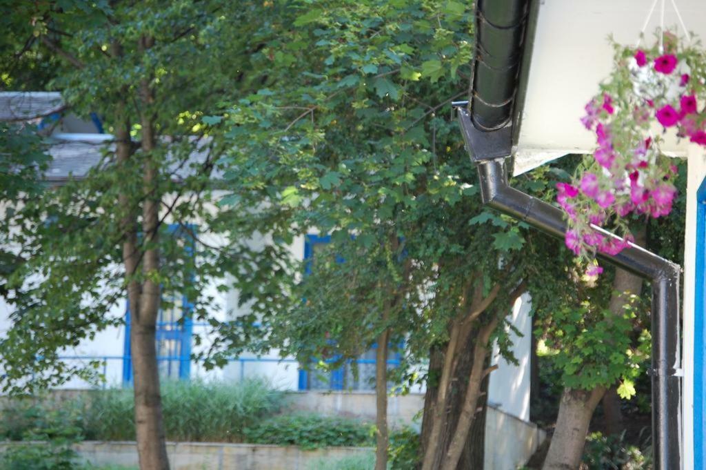 Комплекс Белите Къщи Shtarkelovo Gnezdo Buitenkant foto
